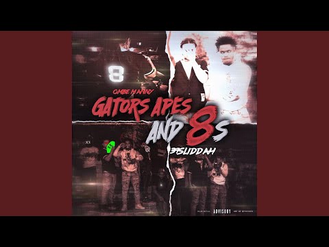 Gators Apes And 8s