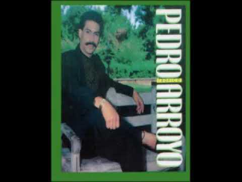 HE DECIDIDO OLVIDARTE - PEDRO ARROYO