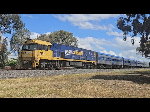 1AM8 up JBRE The Overland (NR11, 7V), Adelaide to Melbourne, 1430, 26/10/25, Horsham VIC 