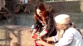 preview picture of video 'Monkey Temple Jaipur, Rajasthan, India'