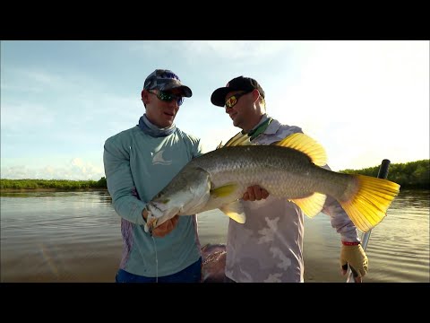 IFISH -  BIG Barra with Shane Compain