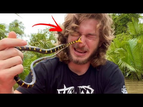 Venomous Snake Bite to the FACE!