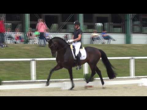 REVOLUTION & Andreas Helgstrand - 1. WM-Sichtung 2018