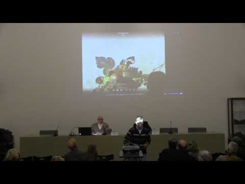 Il Grand Tour. Dal mondo, in Ambrosiana 3/4