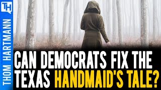 What Democrats Can Do To Fight the TX Handmaid's Tale? (w/ Elie Mystal)