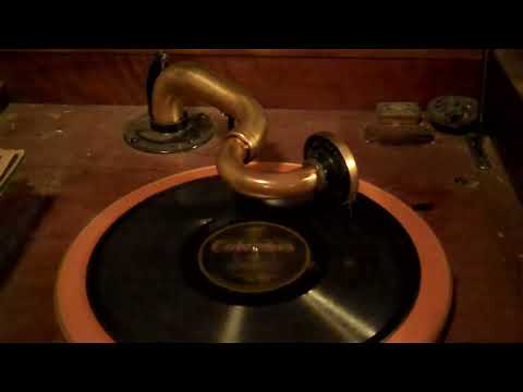 BEN SELVIN KNICKERBOCKERS VIVA-TONAL - NOTHING ELSE TO DO - ROARING 20's VICTROLA 8-30