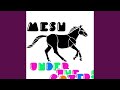Judy and the Dream of Horses