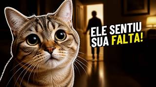Seu Gato Sente Sua Falta? 8 Sinais Que Revelam a VERDADE! ASSISTA ATÉ O FINAL