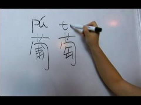 Chinese Words for Fruits : How to Say 'Grape' in Chinese