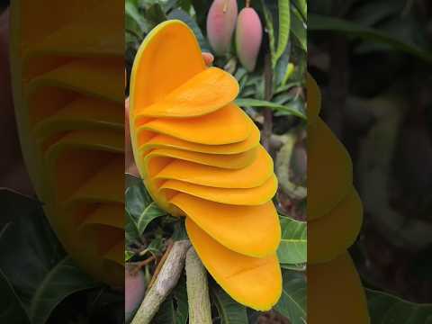 Most Sweetest Fruits 🥰🍉