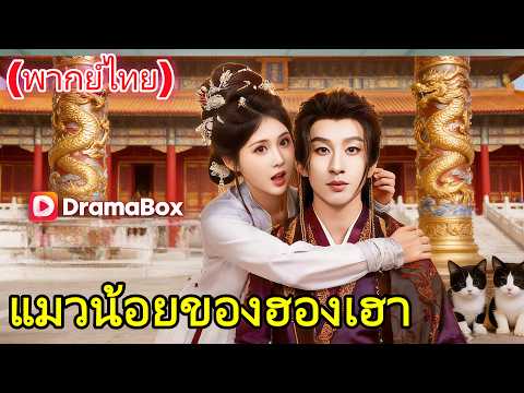 🆕🔥แมวน้อยของฮองเฮา(พากย์ไทย)  #drama   #cdrama  #dramabox