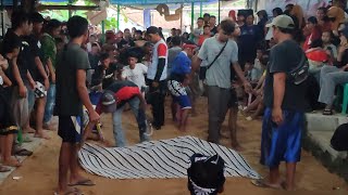 Download lagu FULL JANTURAN KUDA KEPANG❗DWI TURONGGO SETO❗LIVE, KALIPURA MADUKARA BANJARNEGARA mp3 Download lagu FULL JANTURAN KUDA KEPANG❗DWI TURONGGO SETO❗LIVE, KALIPURA MADUKARA BANJARNEGARA mp3