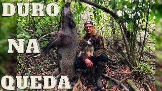 O RONCADO ASSUSTA | JAVALI BRASIL | #repost