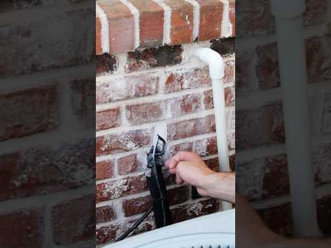 How to Rat Proof your Home | DoMyOwn.com #rodentcontrol