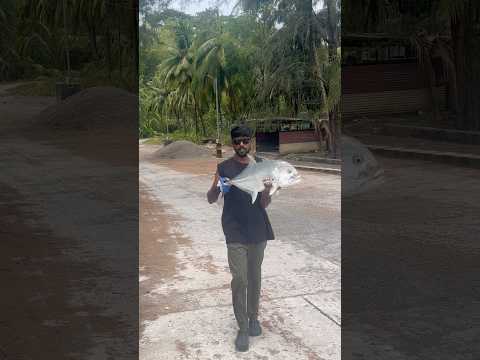 Katchal island 🏝️ crazy GT fishing experience #explore #gtfishing #saltwaterfishing