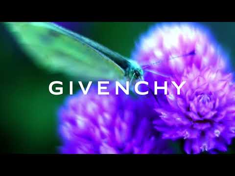 stream_38