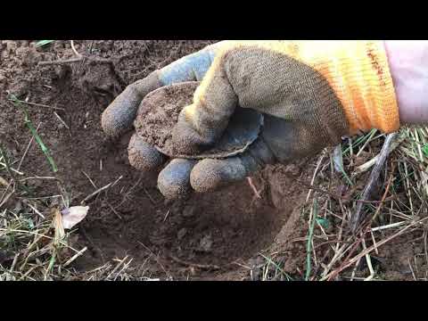 #28 My Best Day Metal Detecting Civil War Relics Ever - PART 2 (HOLY SMOKES, I DID IT!!!)