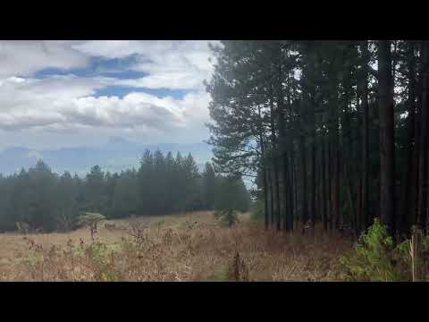 hanthana hike #hanthana #hike #batchtrip