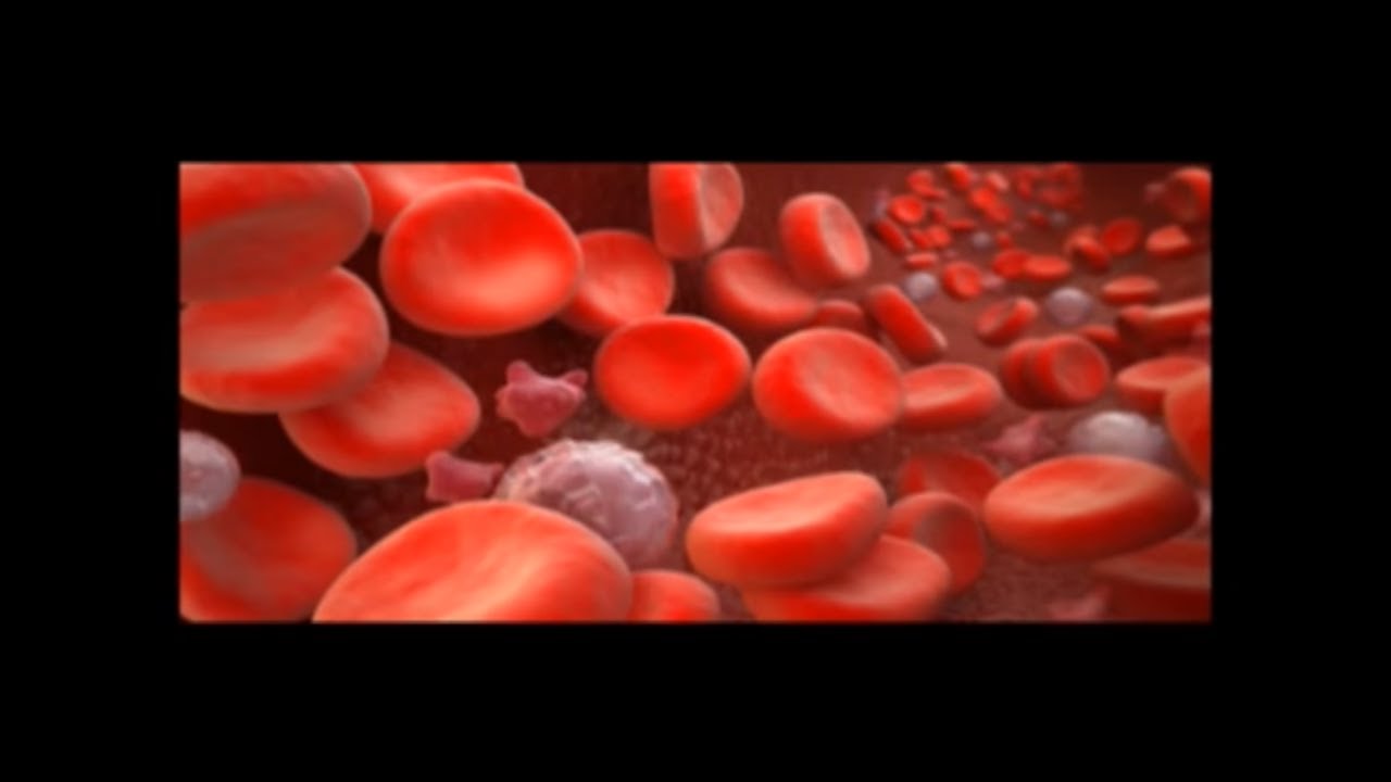 Building Your Hemoglobin Level Without Blood