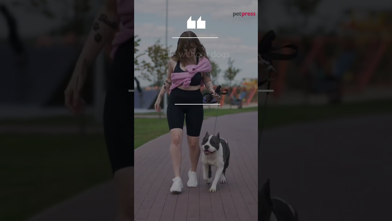 5 Inspiring Dog Life Quotes That Will Brighten Your Day