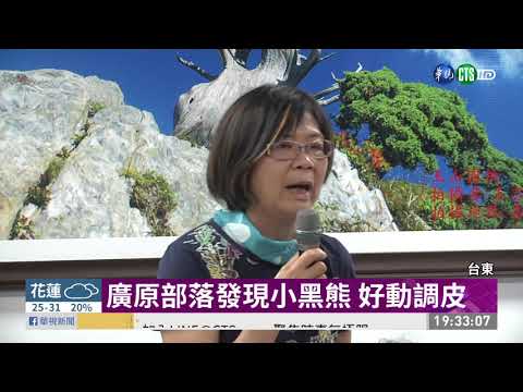 廣原小熊命名"Mulas" 象徵堅忍不拔