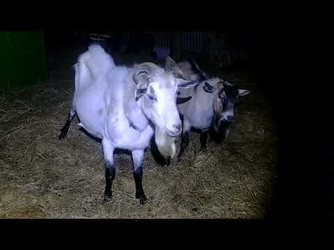 Design Clashes With Production  #slack Afterhours