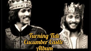 The Bee Gees (Barry &amp; Maurice) - Turning Tide - AUDIO ONLY