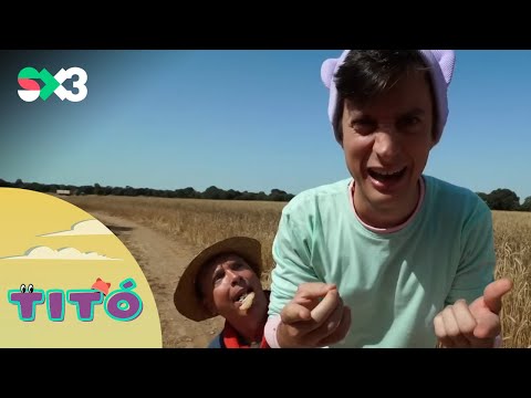 Excursió al camp de blat | Titó