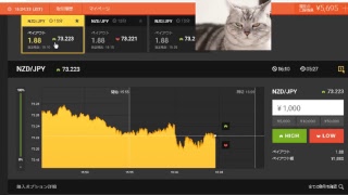 【FX】1万円から始める為替取引【BO】5