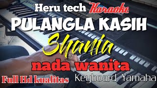 Download lagu Pulanglah Shania karaoke nada cewek wanita mp3 Download lagu Pulanglah Shania karaoke nada cewek wanita mp3