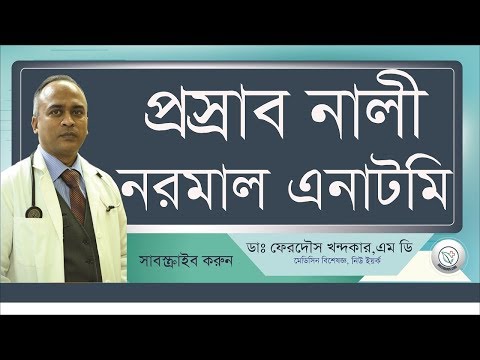 যৌনাঙ্গ কি? প্রসাব প্রনালির প্রাথমিক ধারনা II Urinary Tract, Prostate Basic II Drferdousny