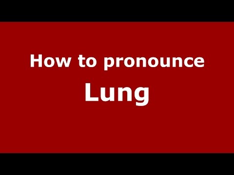 How to pronounce Lung