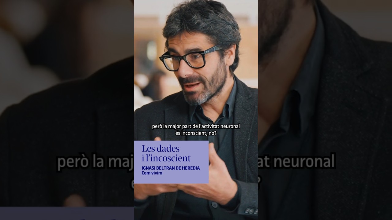 Ignasi Beltran de Heredia, director dels Estudis de Dret i Ciència Política video link