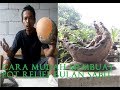 Popullar Cara Mudah Membuat Pot Relief Bulan Sabit, Newest!