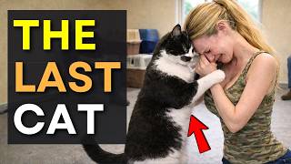 When A Cat Picks You As His Favorite Person #cats #catadoption #heartwarming