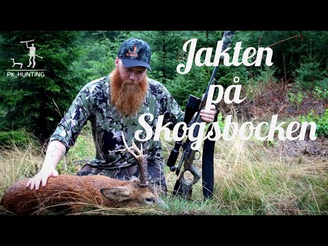 Jakten på Skogsbocken. Bockjakt i Småland. (Hunt for the forest buck, Roebuck hunting.)