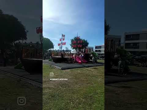 Flores Silvestres por Quilmes👣🌺 #buenosaires #floressilvestres #traveler #caminantes #quilmes