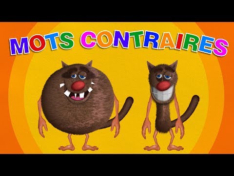 Foufou - Les Mots Contraires pour les enfants (Learn opposite words for kids) 4k