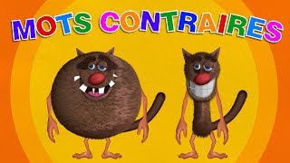 Foufou - Les Mots Contraires pour les enfants - Vocabulaire gameplay video by agladu, 3:49 duration