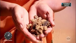 Miniatura do vídeo