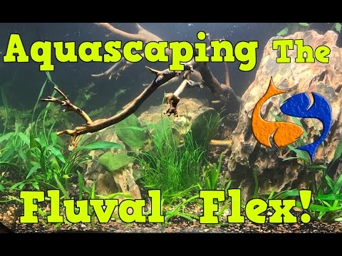 Live Aquascaping of the Fluval Flex 15 Gallon, I LOVE TECHNOLOGY!!!