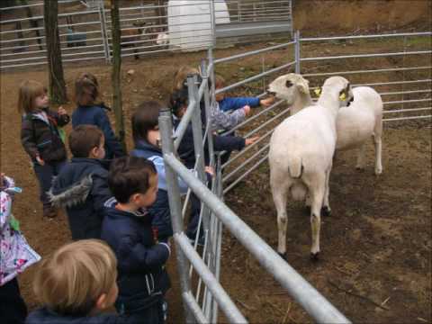 Excursió a la granja !!
