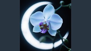 Download lagu Oh Kenangan Lama mp3