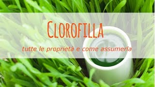 Clorofilla: tutte le proprietà e come assumerla