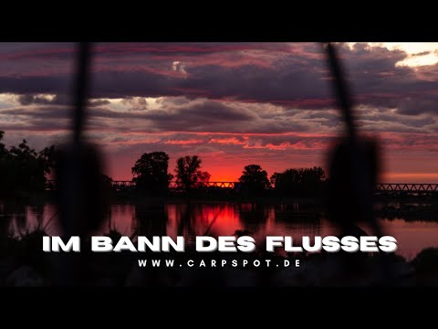 Carpspot International (Sebastian Heinz) and 4 more