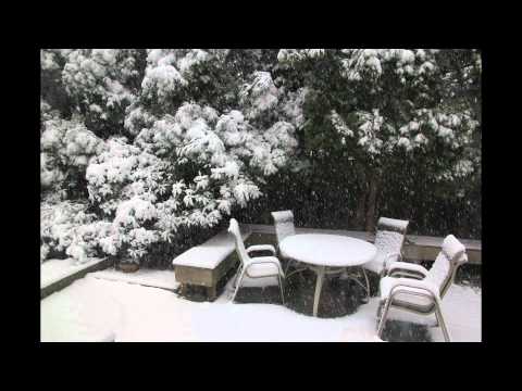 October Snow Storm Time-Lapse