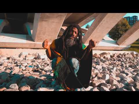 THE ARK BAND - S HOLE NATION