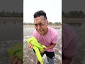 LARIN EN EL MAR
