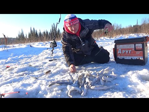 ХАРИУС СО ЛЬДА, НА РЕЧКЕ ХАРЮЗОВКЕ. РЫБАЛКА В МИНУС 36