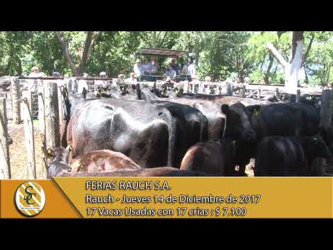 14-12-17 Venta de Vientres - Ferias Rauch S.A. - Rauch.